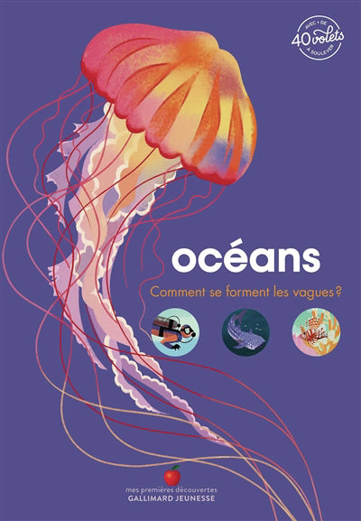 OCEANS - COMMENT SE FORMENT LES VAGUES