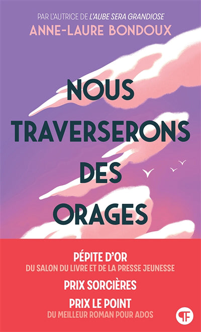NOUS TRAVERSERONS DES ORAGES