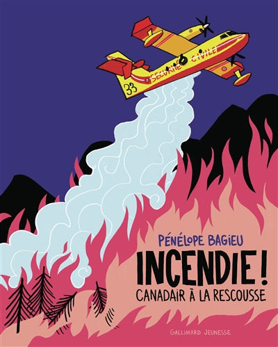 INCENDIE ! CANADAIRS A LA RESCOUSSE