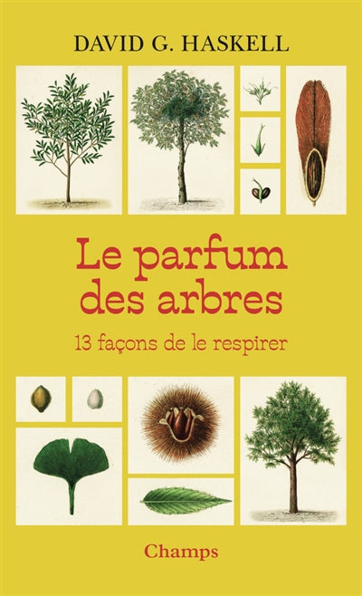 PARFUM DES ARBRES - 13 FACONS DE LE RESPIRER