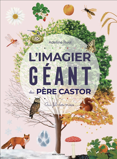 IMAGIER GEANT DU PERE CASTOR - AU FIL DES MOIS