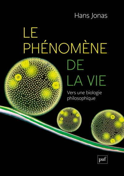 PHENOMENE DE LA VIE LE  VERS UNE BIOLOGIE PHILOSOPHIQUE