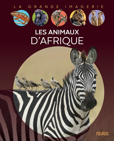 ANIMAUX D'AFRIQUE