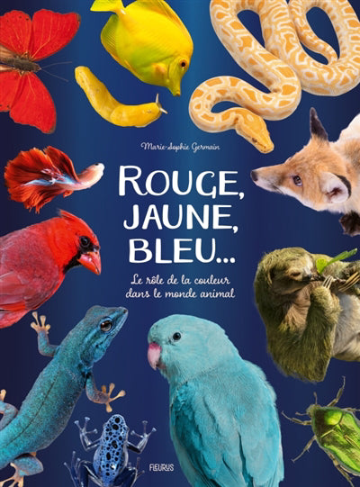 ROUGE, JAUNE, BLEU... LE ROLE DE LA COULEUR DANS LE MONDE A