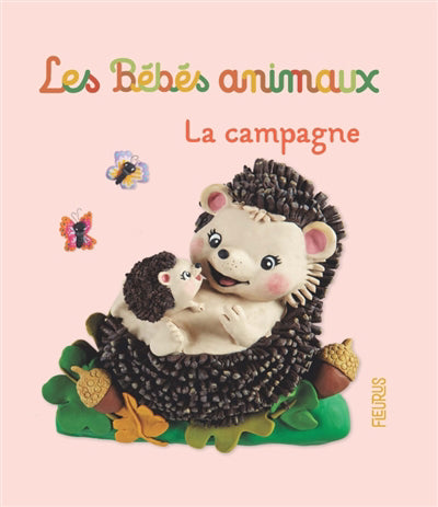 CAMPAGNE
