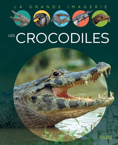 CROCODILES