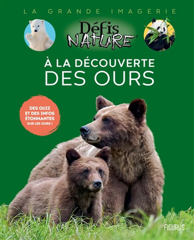 A LA DECOUVERTE DES OURS