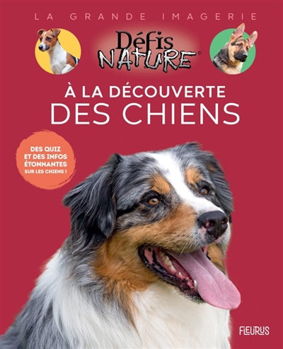 A LA DECOUVERTE DES CHIENS