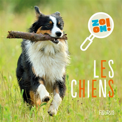 CHIENS