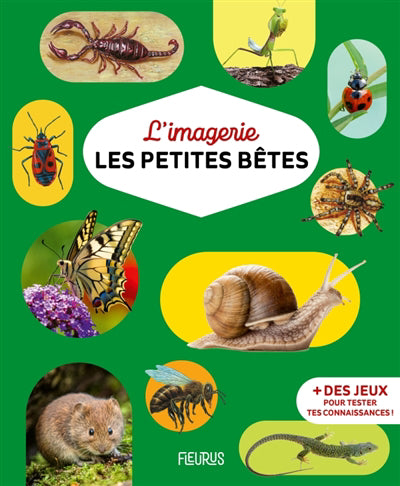 Imagerie - Les petites bêtes