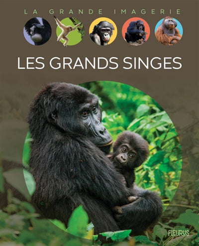 GRANDS SINGES