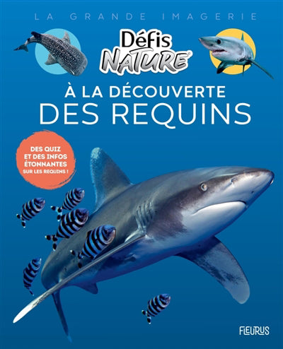 A LA DECOUVERTE DES REQUINS
