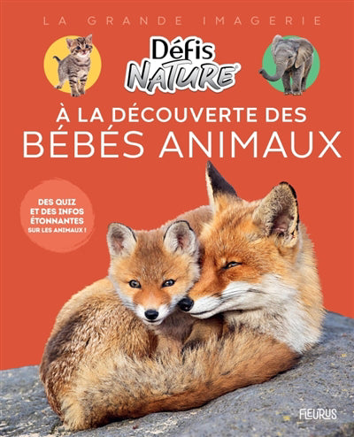 BEBES ANIMAUX