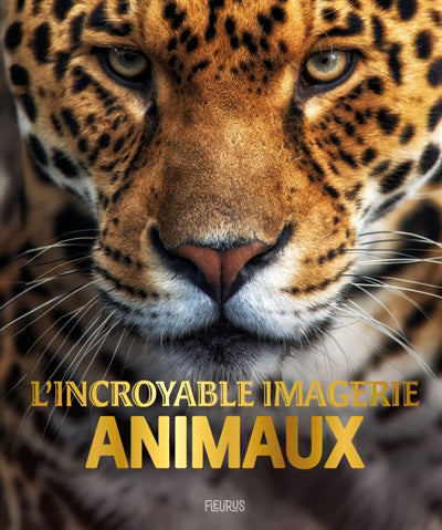 INCROYABLE IMAGERIE ANIMAUX