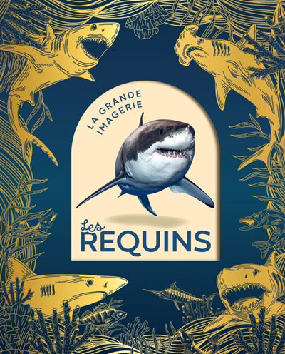 REQUINS