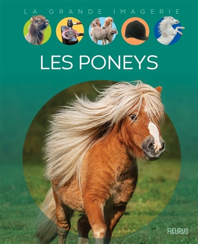 PONEYS