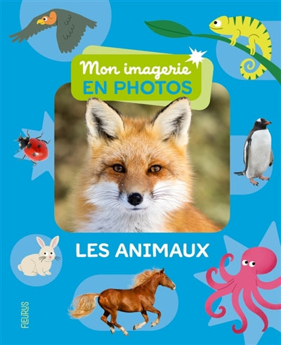 ANIMAUX