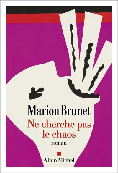 NE CHERCHE PAS LE CHAOS