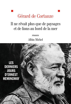 IL NE REVAIT PLUS QUE DE PAYSAGES ET DE LIONS AU BORD DE LA MER