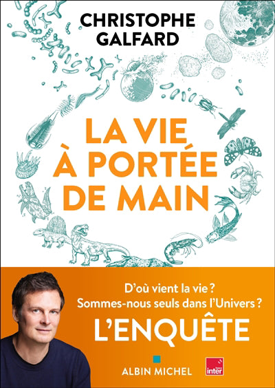 VIE A PORTEE DE MAIN