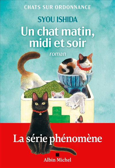 UN CHAT, MATIN, MIDI ET SOIR