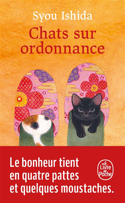 CHATS SUR ORDONNANCE