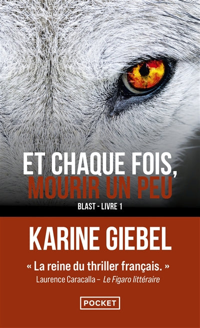ET CHAQUE FOIS MOURIR UN PEU