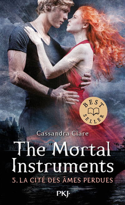 THE MORTAL INSTRUMENTS TOME 5 LA CITE DES AMES PERDUES