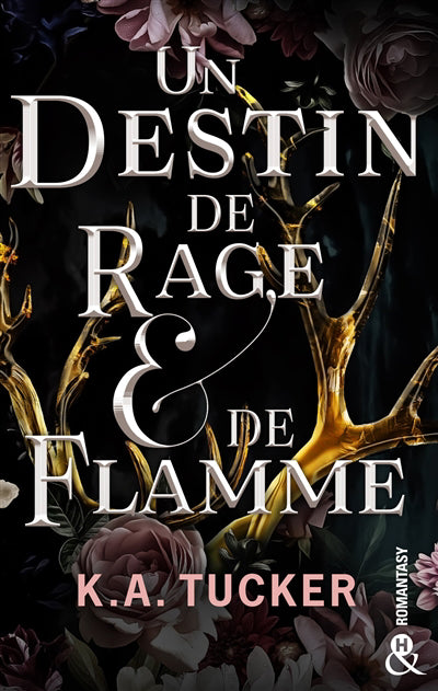 DESTIN DE RAGE ET DE FLAMME