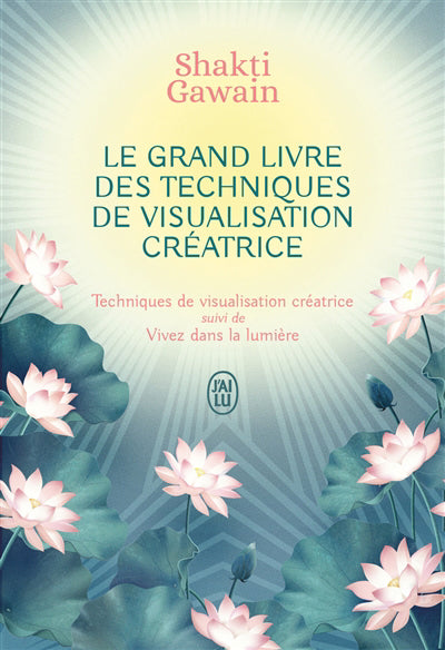 GRAND LIVRE DES TECHNIQUES DE VISUALISATION CREATRICE