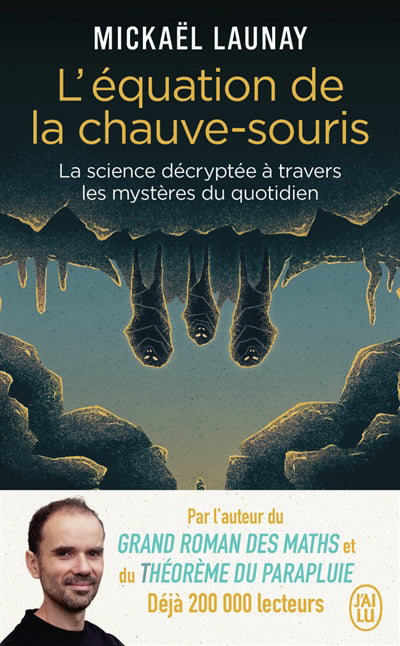 EQUATION DE LA CHAUVE-SOURIS
