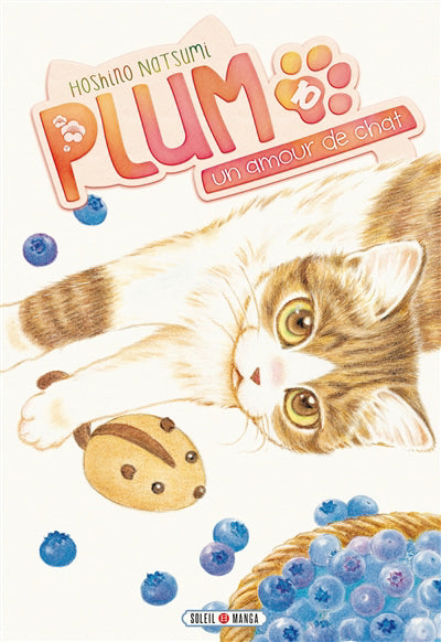 PLUM UN AMOUR CHAT T10