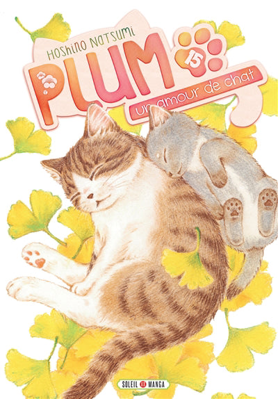 PLUM UN AMOUR CHAT T15