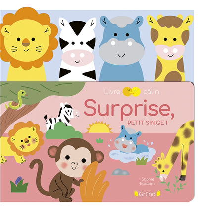SURPRISE, PETIT SINGE]