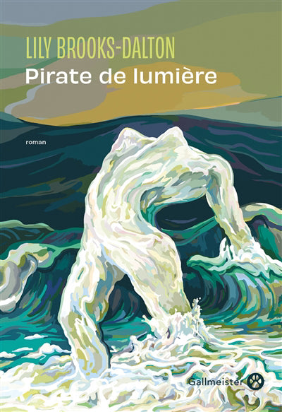 PIRATE DE LUMIERE