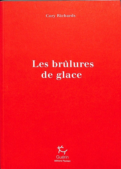 BRÛLURES DE GLACE (LES) UN VOYAGE APAISANT DANS LE CHAOS INTERIEU