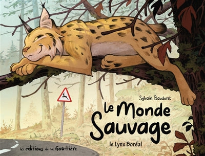 MONDE SAUVAGE   LYNX BOREAL