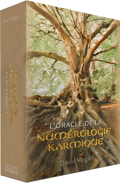 ORACLE DE LA NUMEROLOGIE KARMIQUE (COFFRET 45 CARTES + LIVRET)