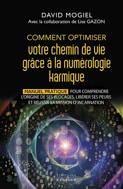 COMMENT OPTIMISER VOTRE CHEMIN DE VIE GRACE A LA NUMEROLOGIE KARM