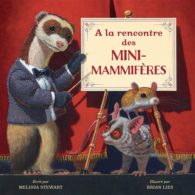 A LA RENCONTRE DES MINI-MAMMIFERES