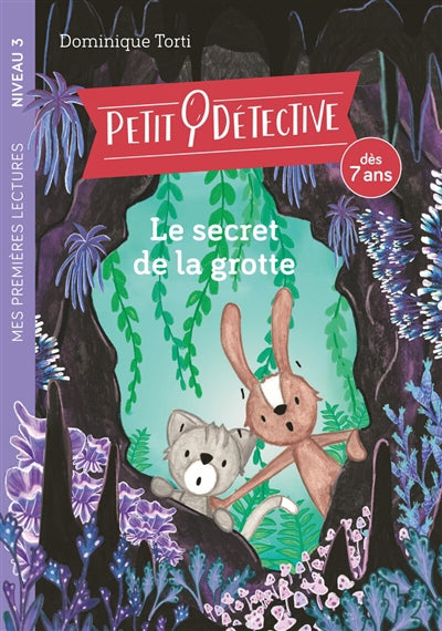 PETIT DETECTIVE -LE SECRET DE LA GROTTE - NIVEAU 3