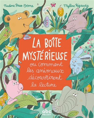 BOITE MYSTERIEUSE
