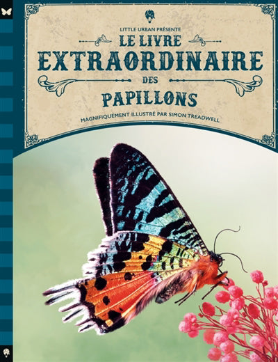 LIVRE EXTRAORDINAIRE DES PAPILLONS