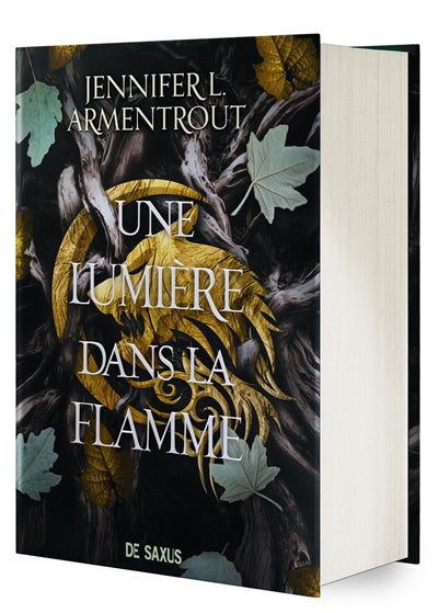 UNE LUMIERE DANS LA FLAMME T02 LA CHAIR ET LE FEU