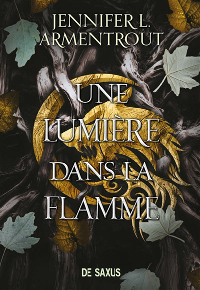 UNE LUMIERE DANS LA FLAMME T02 (BROCHE)