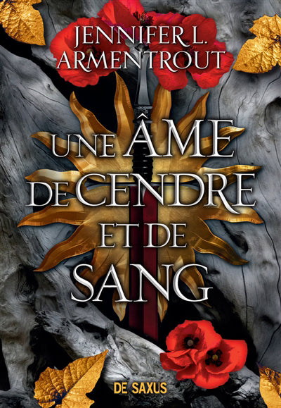 SANG ET LA CENDRE TOME 5 UNE AME DE CENDRE ET DE SANG