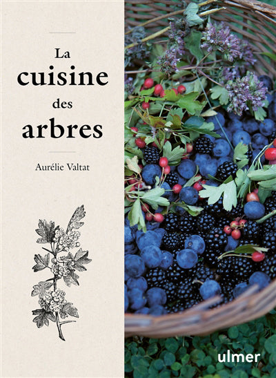 CUISINE DES ARBRES