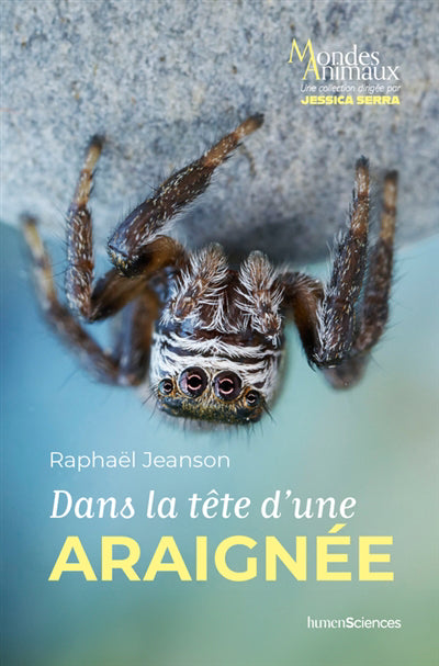 DANS LA TETE D'UNE ARAIGNEE