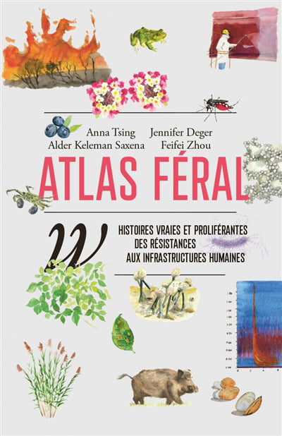 Atlas féral