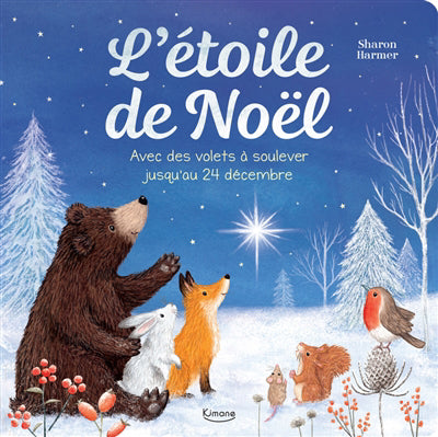ETOILE DE NOEL AVEC DES VOLETS A SOULEVER JUSQU'AU 24 DECEMBRE